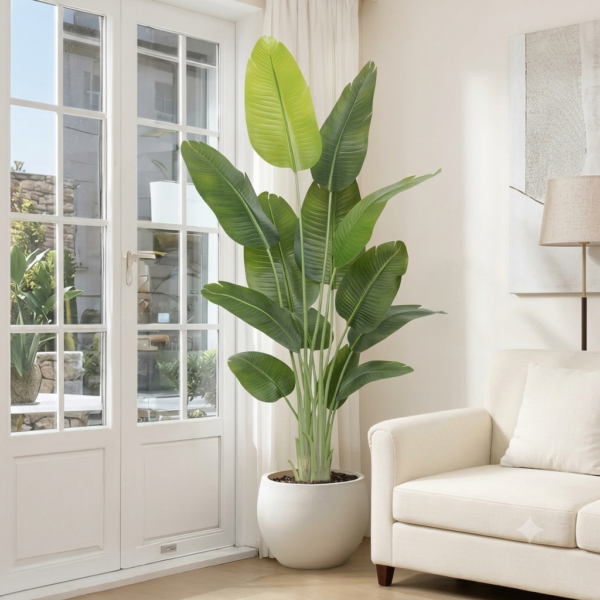 TALL BANANA LEAF PLANT- 6 FEET WITH POT