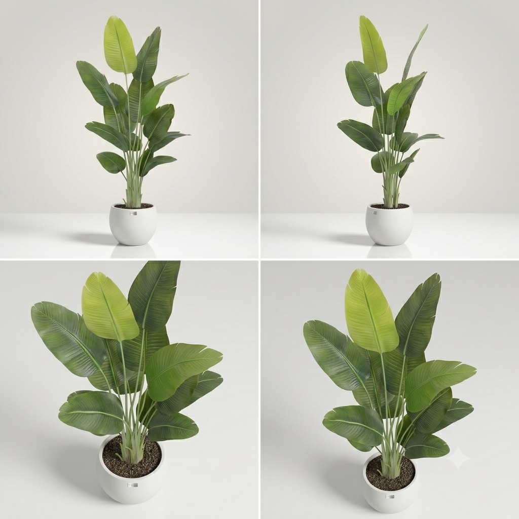 TALL BANANA LEAF PLANT- 6 FEET WITH POT - Image 5
